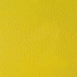 TRAFFIC YELLOW TEX/ GLOSS EXTERIOR